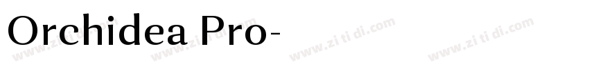Orchidea Pro字体转换